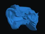 kulak anatomik -0