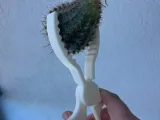 cactus shears-3