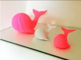 Pink Whale-0