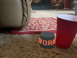 Worms container