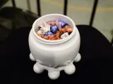 Octopus-3
