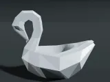 swans-0