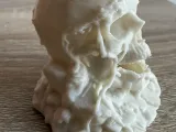 Skull ruin-2
