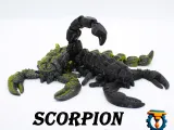 scorpion_flexi-8