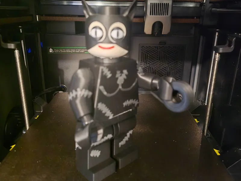 cat woman Lego