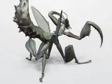 MANTIS-3