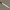 Paul Atreides Dune Crysknife