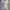 Modern Designer Art Figure STL | Contemporary Art Toy Sculpt