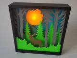 Forest shadow box-2