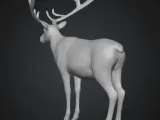 reindeer-2