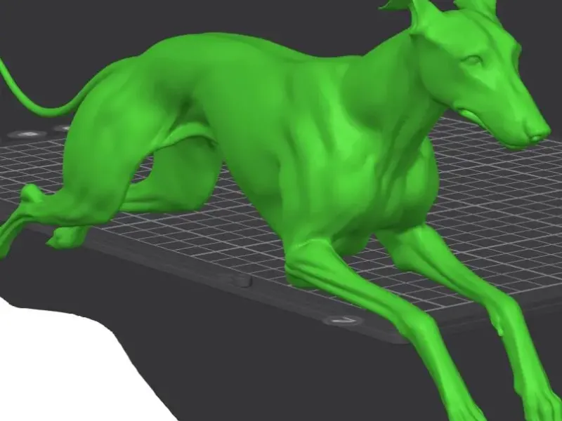 galgo perro