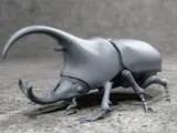 Dung Beattle-2