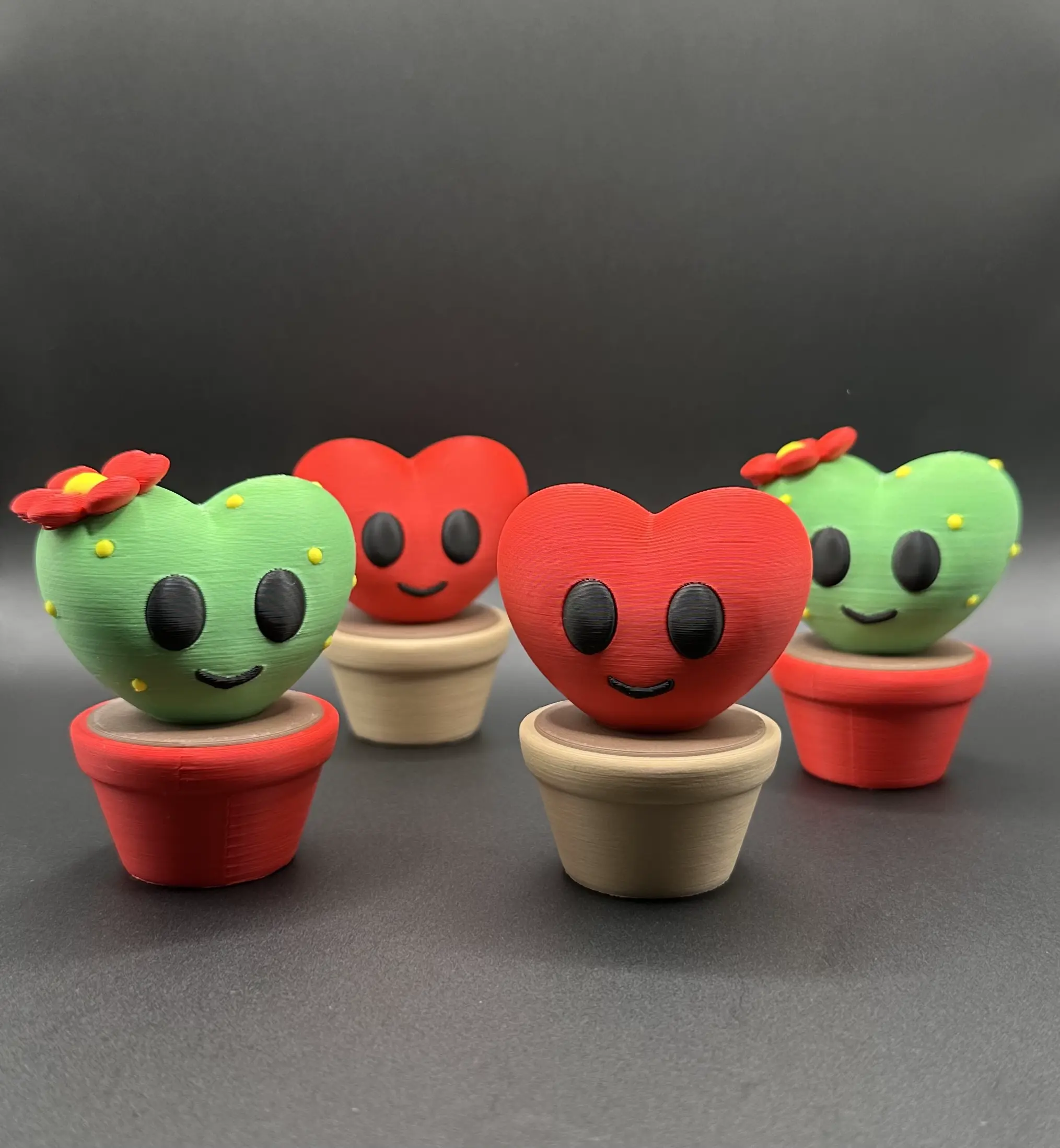 Heart Plants for Valentine’s