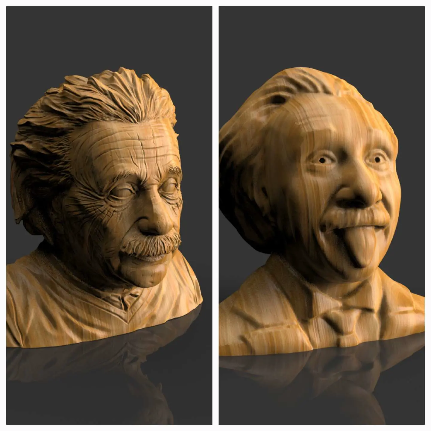 Busto de Albert Einstein