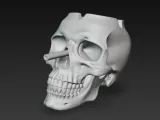 skull-shaped ashtray-5