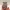 Blumen-Eulen-Figur