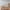 Scultura decorativa Panther Lowpoly