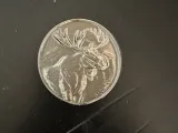 Moose Medal-1