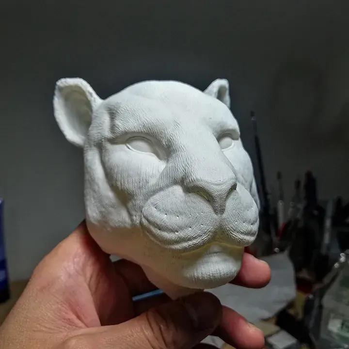 PUMA MURO