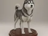 Husky-0