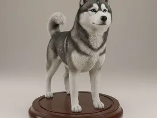 Husky