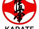 kyokushin kai karate-0