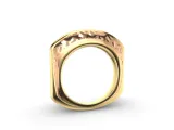 Hexa Vault ring-0