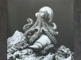 Octopus-1