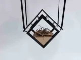 Bird House-2