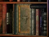 Taurus Booknook-2