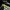 Foods Keycaps Vol I - Mechanische Tastatur