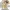 Baby Golden Retriever Cartoon 