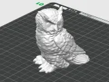 Owl and eagle owl-4