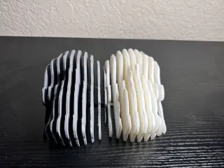 Bent Reality Skull