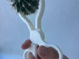 cactus shears-2