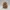 Burrowknit Gentle Mole – Noah0x03