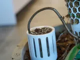 RootDock Planter - Direct-to-Soil Propagation Pod-3