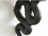 Decorative Snake Shelf Bracket-3
