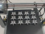 Human Vertebra-5
