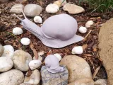 Explorer Snail-5