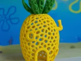 Pineapple House-1