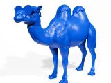 Funny camel-2