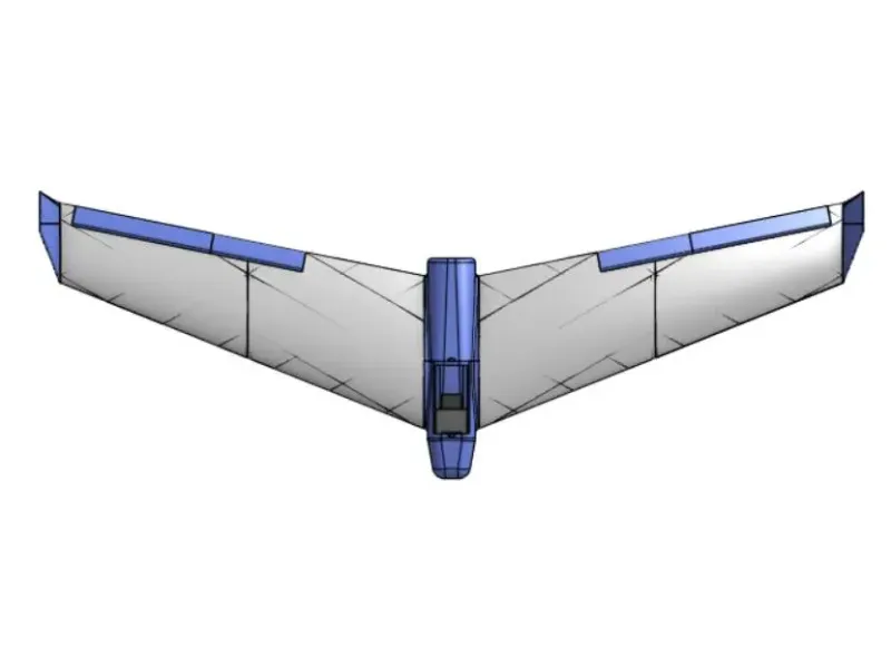 Pro Flying Wing V1