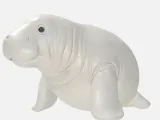 Manatee -4
