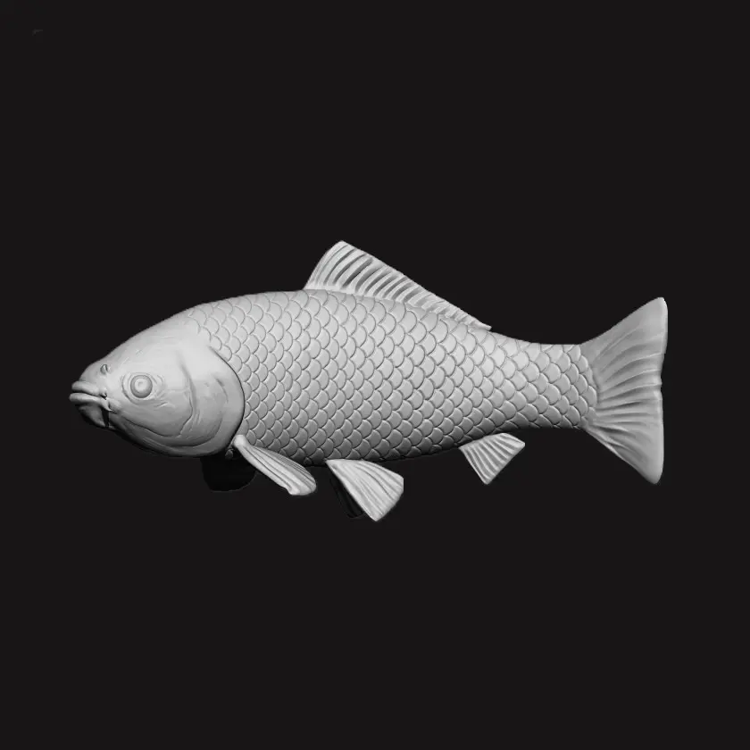 KOI-FISCH - BEREIT FÜR 3D-DRUCK