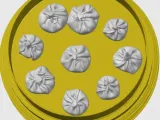 Dumpling dough with bamboo steamer and serving tray-6