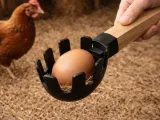 Egg Scoop for Collecting Eggs-0