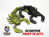 scorpion_flexi-3