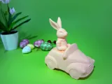 Bunny convertible-5