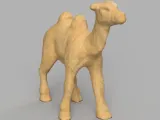 Camel-2